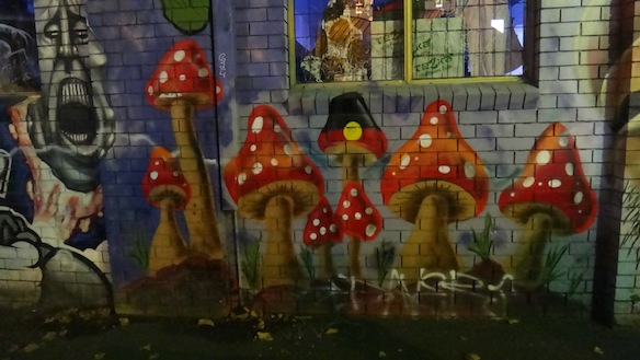 Melbourne-Mushies